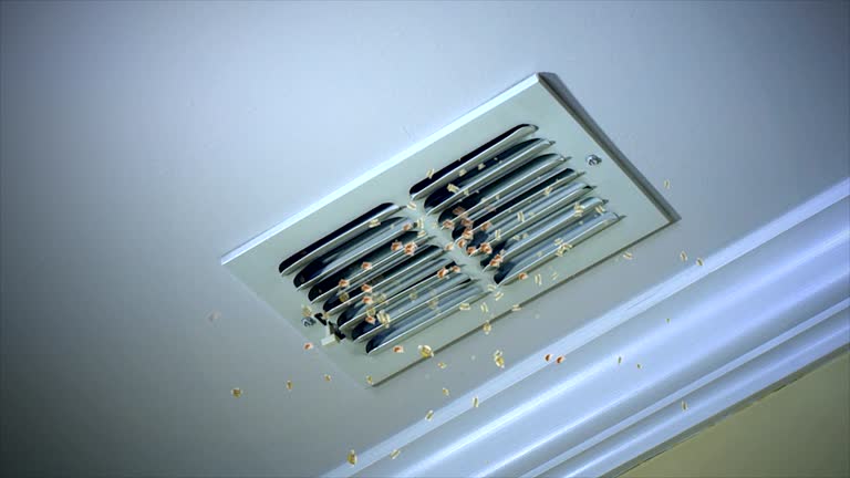 Best Air Vent Cleaning Services  in Somersworth, NH